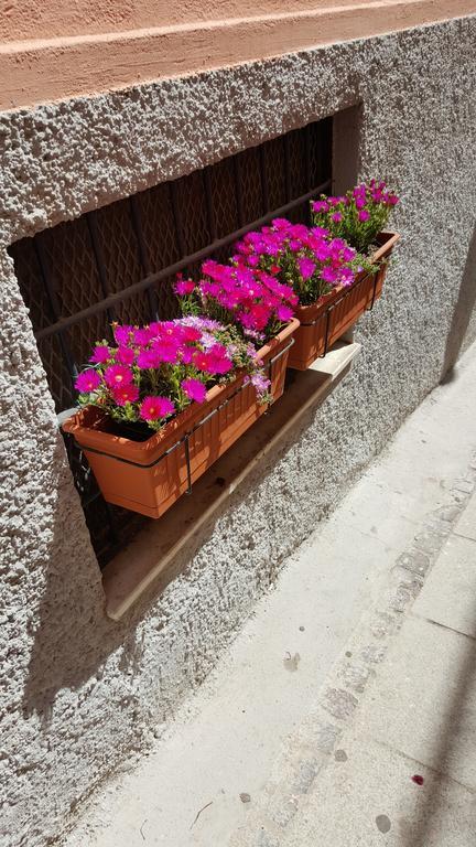 Al Sale Bed and Breakfast Cagliari Eksteriør billede