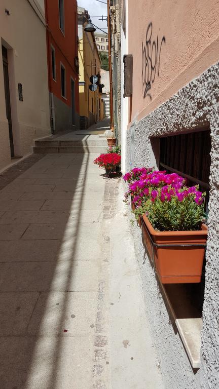 Al Sale Bed and Breakfast Cagliari Eksteriør billede