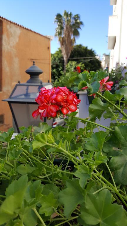 Al Sale Bed and Breakfast Cagliari Eksteriør billede